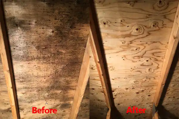 water damage restoration service Moriarty